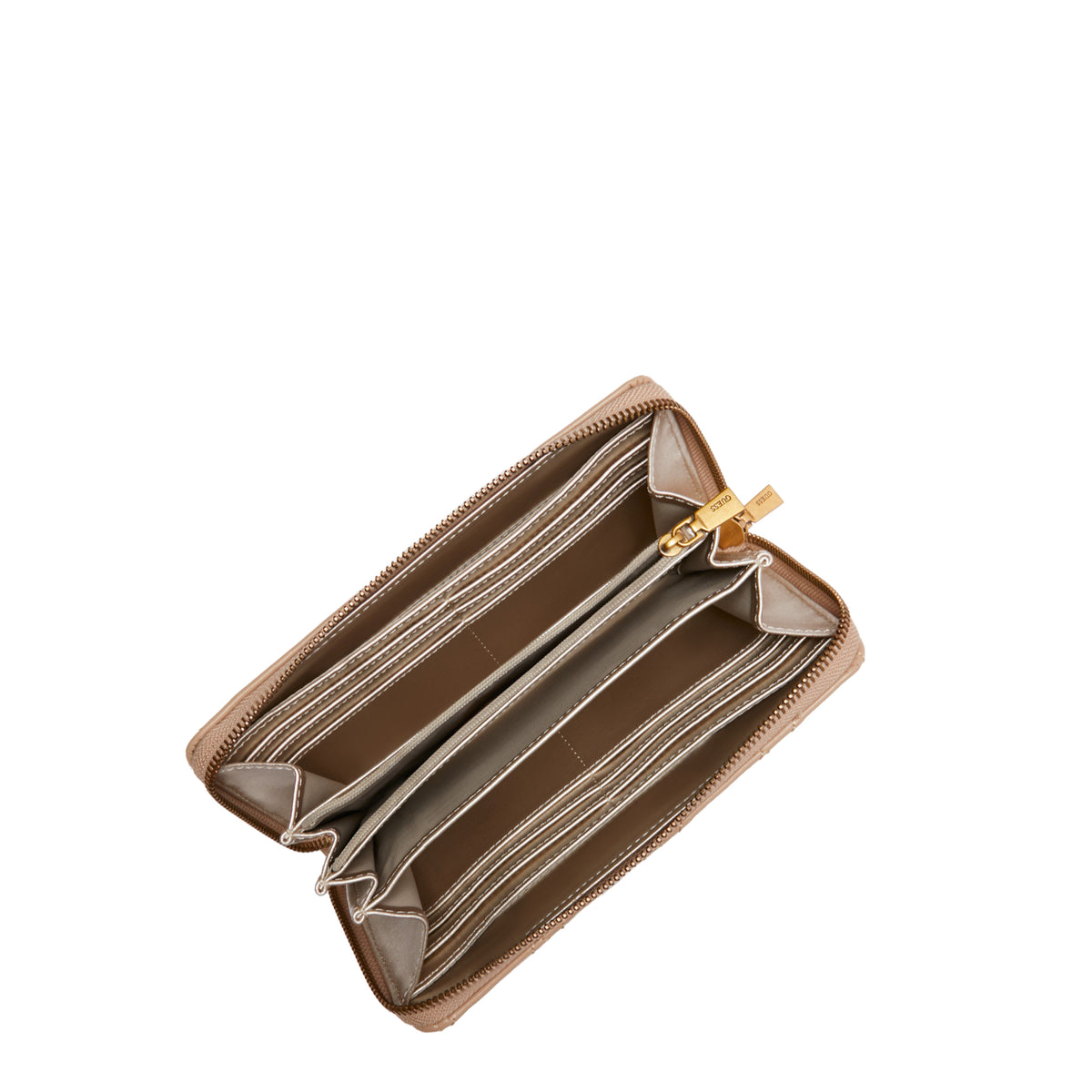 Compagnon Gracelynn Guess – vue 3