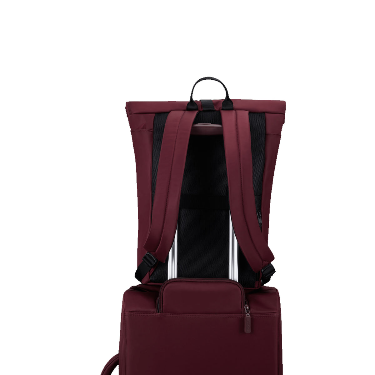 Sac à dos Rolltop City Plume Lipault – vue 4