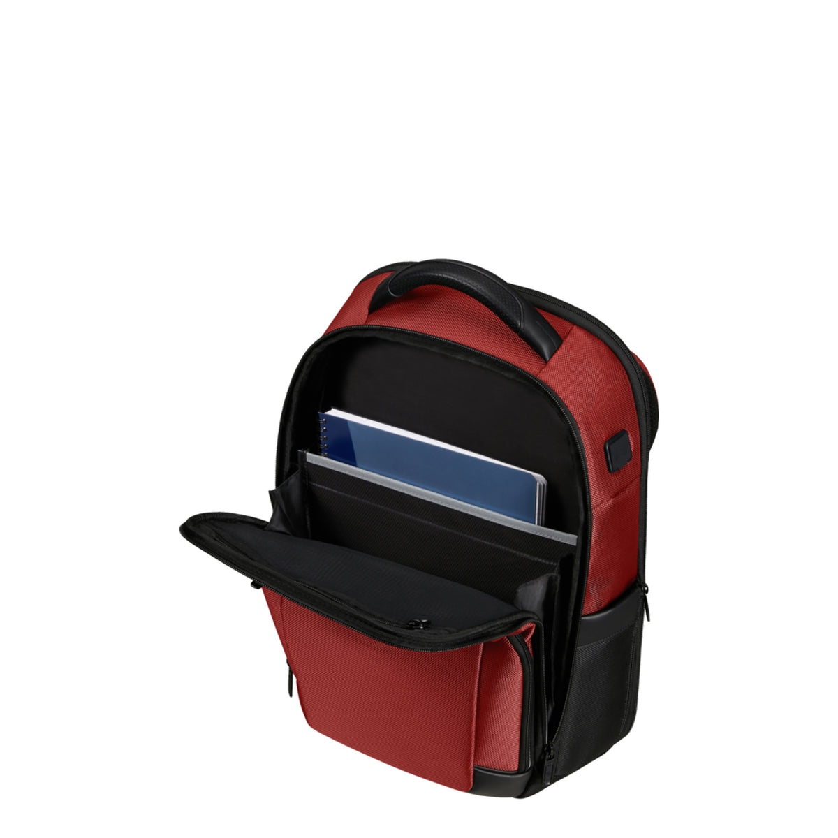 Sac à dos 15.6 pouces Pro DLX 6 Samsonite – vue 5