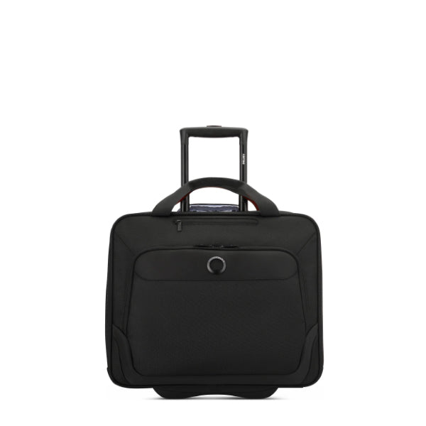 Boardcase 2 roues Parvis Plus Delsey – vue 8